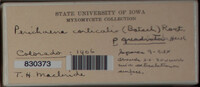 Image Associated With the Occurence